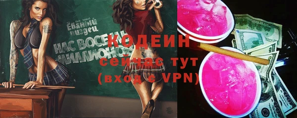 МДПВ Верхний Тагил