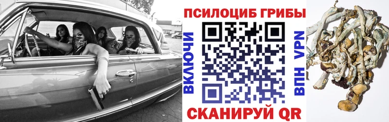 закладка  площадка какой сайт  Псилоцибиновые грибы Magic Shrooms  Глазов 