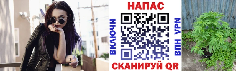 МАРИХУАНА семена  Глазов 